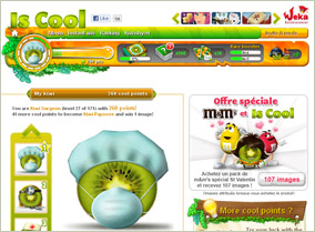 Offerwall